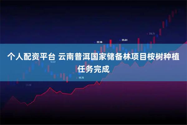 个人配资平台 云南普洱国家储备林项目桉树种植任务完成